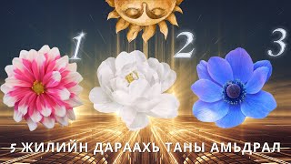 🎁🧿💖 5 жилийн дараахь таны амьдрал- 3 сонголт 🌸