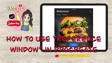 [Procreate Features]How to use "Reference Window"in Procreate?