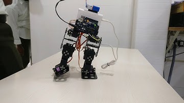 Biped Walking Robot - Project assignment for Skyfi Labs online course By NEC MECHANICAL Students
