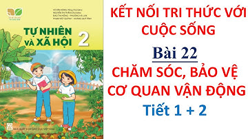 TNXH lớp 2 | Tuần 24 | Bài 22 Chăm sóc, bảo vệ cơ quan vận động | Kết nối tri thức với cuộc sống