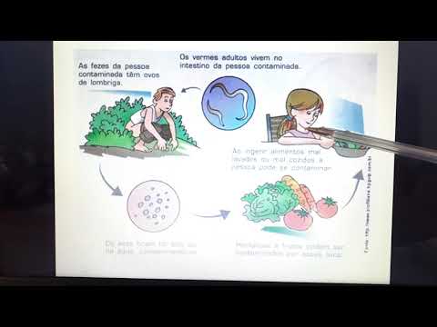 Vídeo: Como é A Eliminação Do Helminto Transmitida Pelo Solo? Resultados De Uma Pesquisa De Detecção Molecular Direcionada No Japão