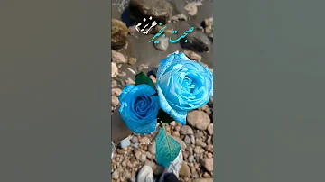 صبحت بخیر عزیزم 