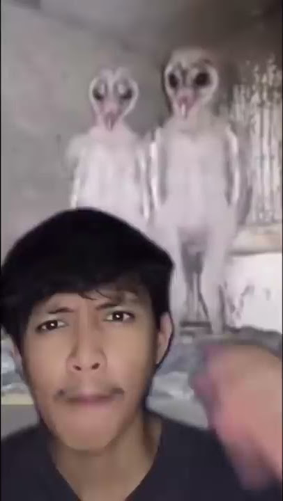 BURUNG HANTU ITU ALIEN⁉️😱🦉 | Ale Khin #shorts #funfacts