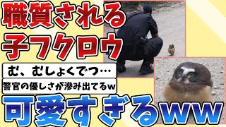 【2ch動物スレ】警察官に職務質問されるフクロウの赤ちゃんが可愛すぎる