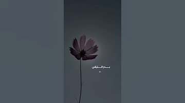(كل شيء هالك إلا وجهه) تلاوة خاشعة للشيخ بدر التركي