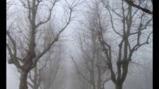 GRIS - Brumes et brouillard - John Lee Hooker &quot;My dream&quot;