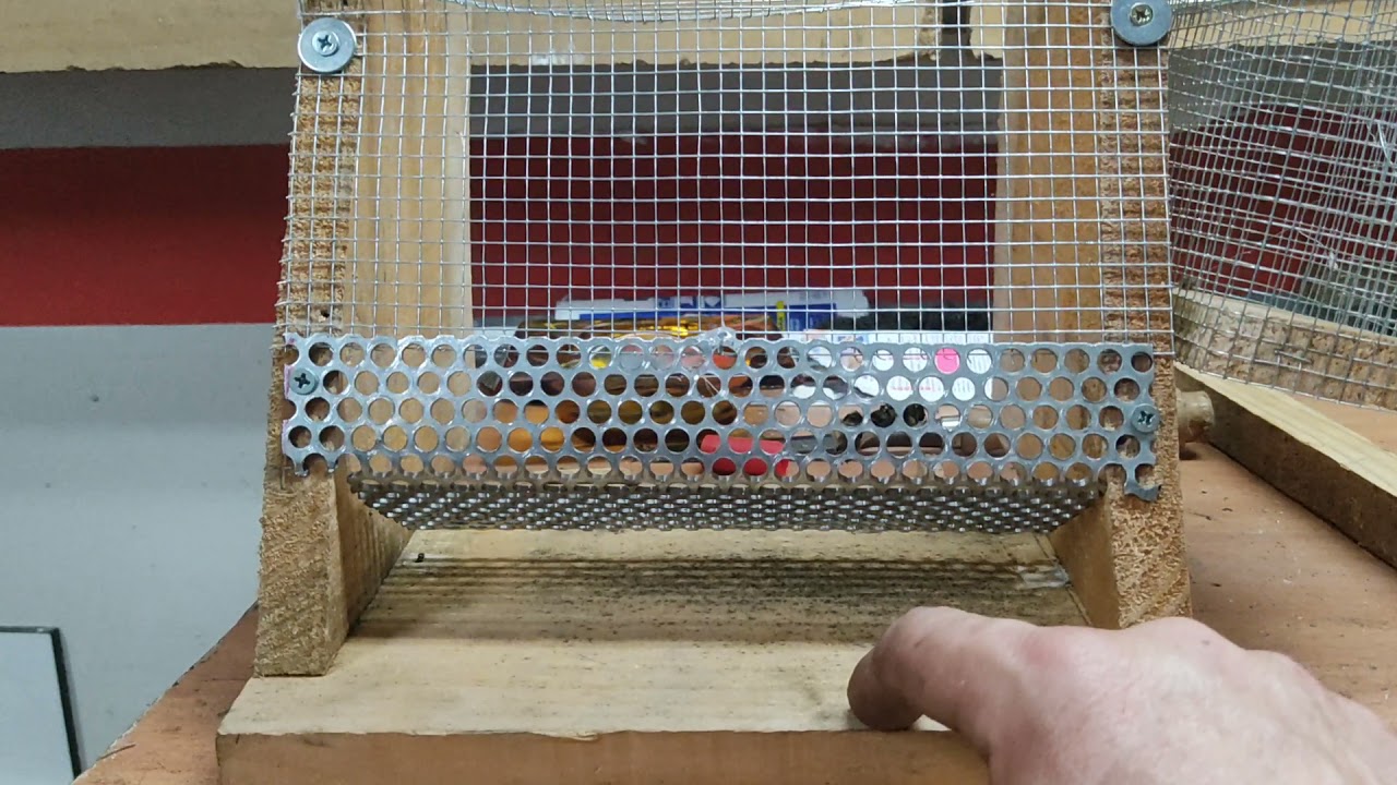 mejorando la mouka 👍