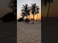 رثاء الجواهري في زوجته ام فرات