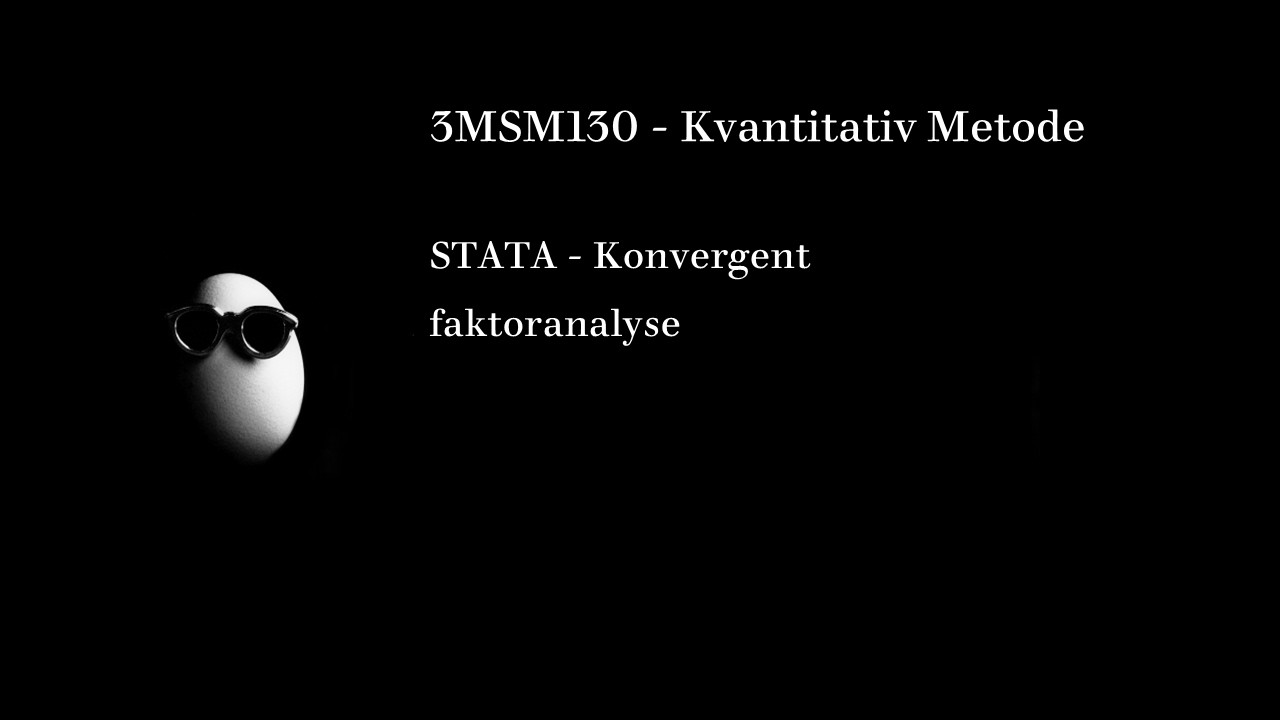 INN   3MSM   STATA   konvergent faktoranalyse
