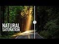 The Most Natural Way to Increase Saturation and Enhance Color in Photoshop