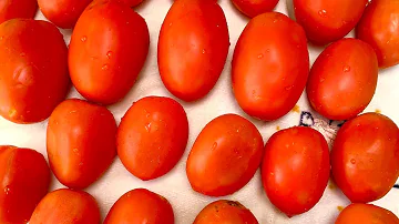 ¿Deben conservarse los tomates en el frigorífico?