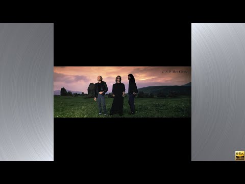 Bee Gees -