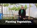 Planting Vegetables and potting on flowers.
