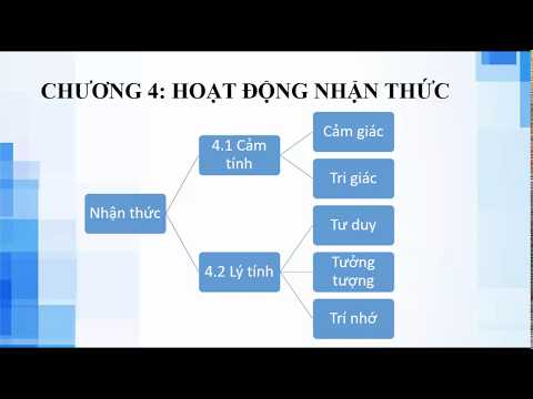 Nhận thức cảm tính P1: Cảm giác