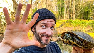 5 IMPORTANT Things to Quick Health Check Your Turtles This Spring!!