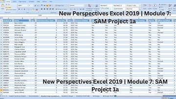 New Perspectives Excel 2019 | Module 7: SAM Project 1a #newperspective #samproject1a #module7