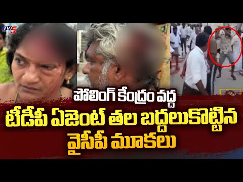 AP Elections :పల్నాడులో టీడీపీ ఏజెంట్ల పై దాడి  YCP Activists Attack On TDP AGENTS In Palnadu | TV5 - TV5NEWS