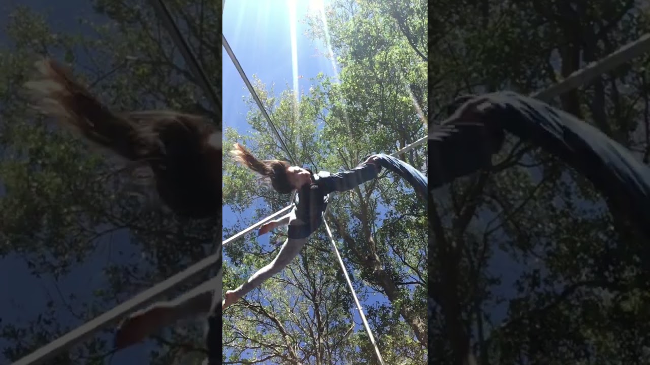 View from below my aerial silks!  