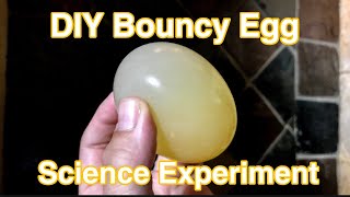 DIY Bouncy Egg Science Experiment... So Easy!!!