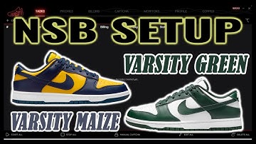 NSB SETUP FOR BEGINNERS: Nike Dunk Low Michigan/Michigan St. Footsites / Shopify Tasks (June 2021)