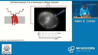 Day 1 Session 1, Adam Cohen, Voltage Imaging: all-optical electrophysiology of neuron excitability