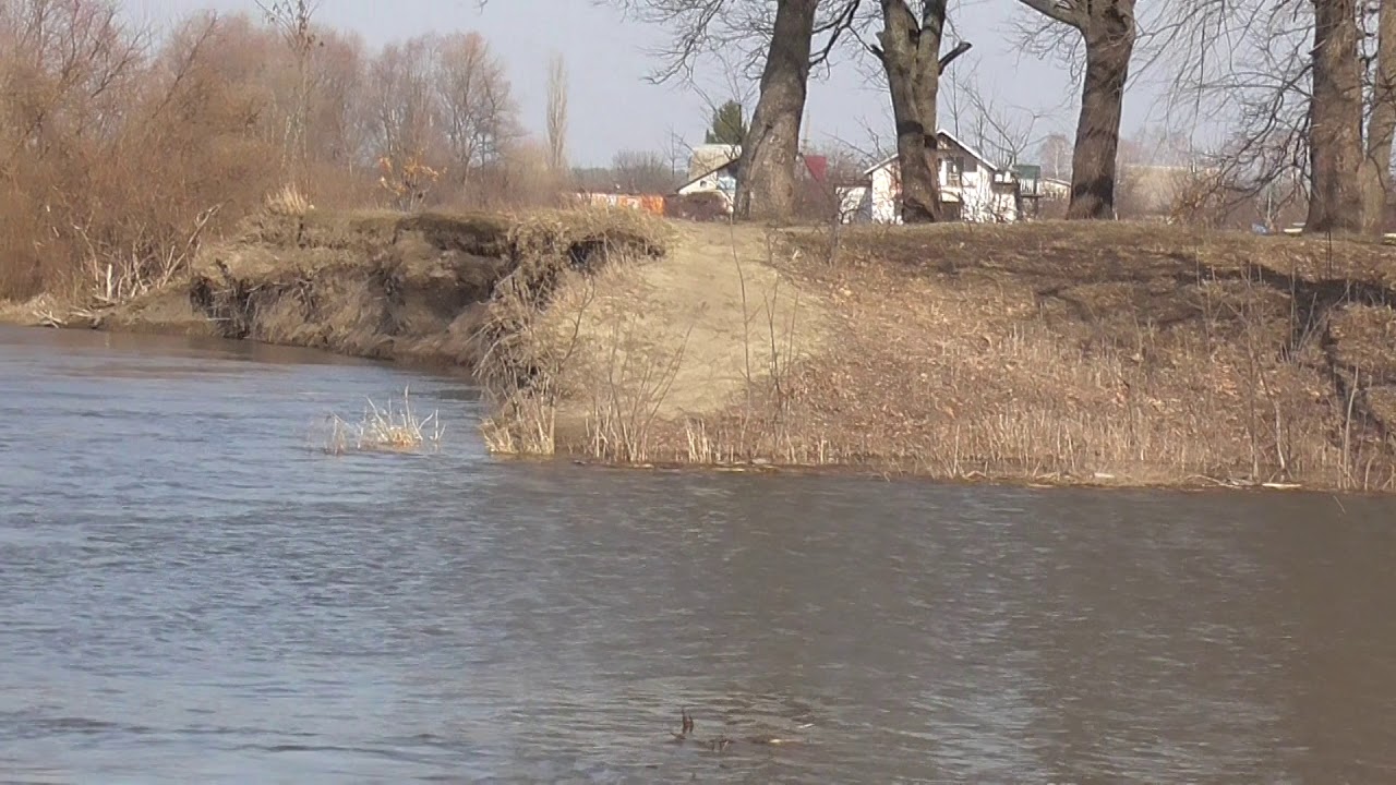 Река ворона мучкап Река ворона мучкап
