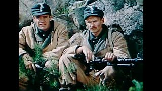 РАЗВЕДИЧКАМ ПОРУЧЕНО ОБНАРУЖИТЬ И УНИЧТОЖИТЬ ВРАЖЕСКИЙ ОБЪЕКТ! В двух шагах от рая. Адреналин