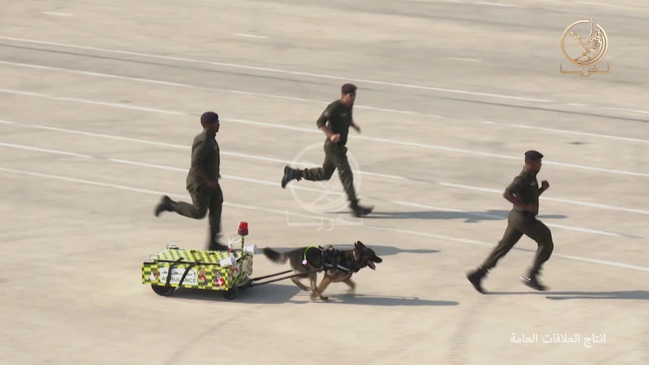 لخويا - ٢٠١٤ - ٠٣ | Lekhwiya - 2014 - 03