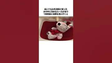 ひとりかくれんぼの雑学 