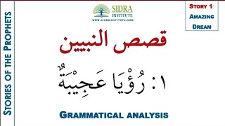 1  An Amazing Dream grammatical analysis