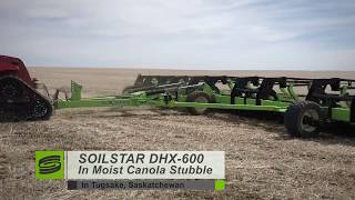 Schulte Soilstar DHX-600 Disc Harrow in Damp Canola Stubble Early Spring