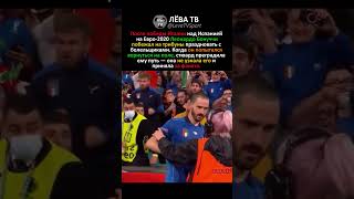 СТЮАРД КОТОРАЯ НЕ ЗНАЛА БОНУЧЧИ