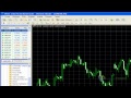 MetaTrader 4 Eğitimi; İndikatör Kullanımı