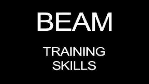 kerner Sequence 1 MPEG 4 LAN Streaming