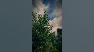 اجمل اصوات القران #قرآن #راحة_نفسية #تلاوة #شيوخ  #القرآن_الكريم