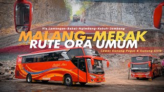 “ANTI MAINSTREAM” JALURNYA BEDA DARI YANG LAIN ‼️ Trip Medali Mas Malang-Merak via Jombang #1