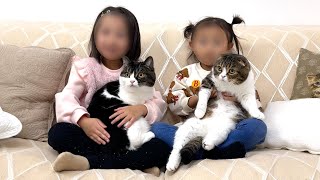 女の子が一瞬で猫好きになった瞬間がこちらです