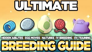 ULTIMATE Breeding Guide IVs, EVs, Natures, Egg Moves Pokemon Ultra Sun and Moon