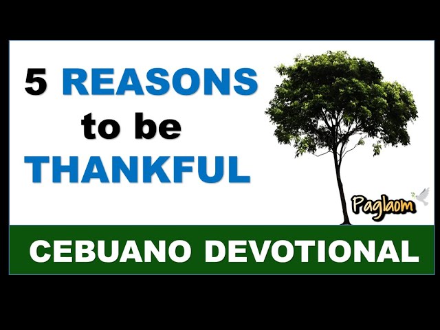 5 Reasons To Be Thankful I Cebuano Devotional class=