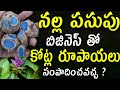    kali haldicurcuma caesia  farming business idea shocking real facts of black turmeric