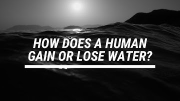 Fluid Input and Output