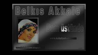 Belkıs Akkale, Dam Üstünde Uzun Uzun Bacalar.