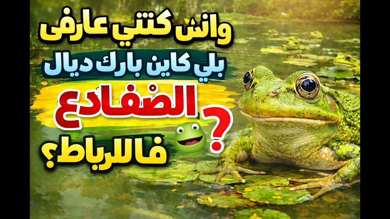 حديقة الضفادع في مدينة الرباط  واش كنتي عارف بلي كاين بارك ديال الضفادع فالرباط؟ 🐸