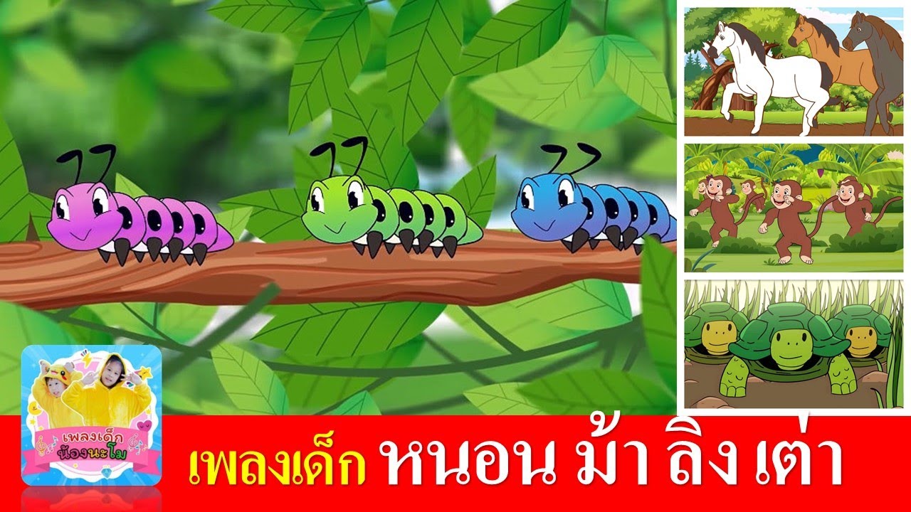 เพลงเด็ก หนอน ม้า ลิง เต่า