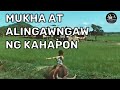 MUKHA AT ALINGAWNGAW NG KAHAPON| Colorized Historical Photos and Videos