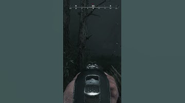 Crytek. Please Fix. #huntshowdown #hunt #gaming #games