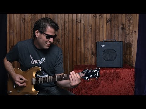 Supro Blues King 8 Tube Amplifier Official Demo by David Koltai 1x8 Combo