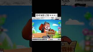 충격적인 요즘 중국 브롤 근황;;