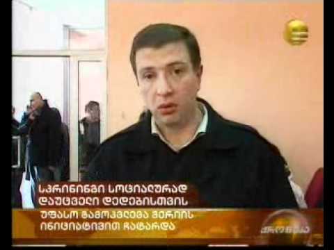 მერმა ქალბატონებს დედის დღე მიულოცა