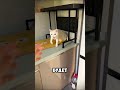 Просыпаться с такой любовью — счастье #short